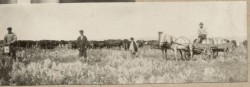 Фотография. Подшефный колхоз. Новая деревня в Ставропольской психиатрической колонии. 1930-е гг. Из фотоальбома главного врача А.Я. Доршта 1939 г.